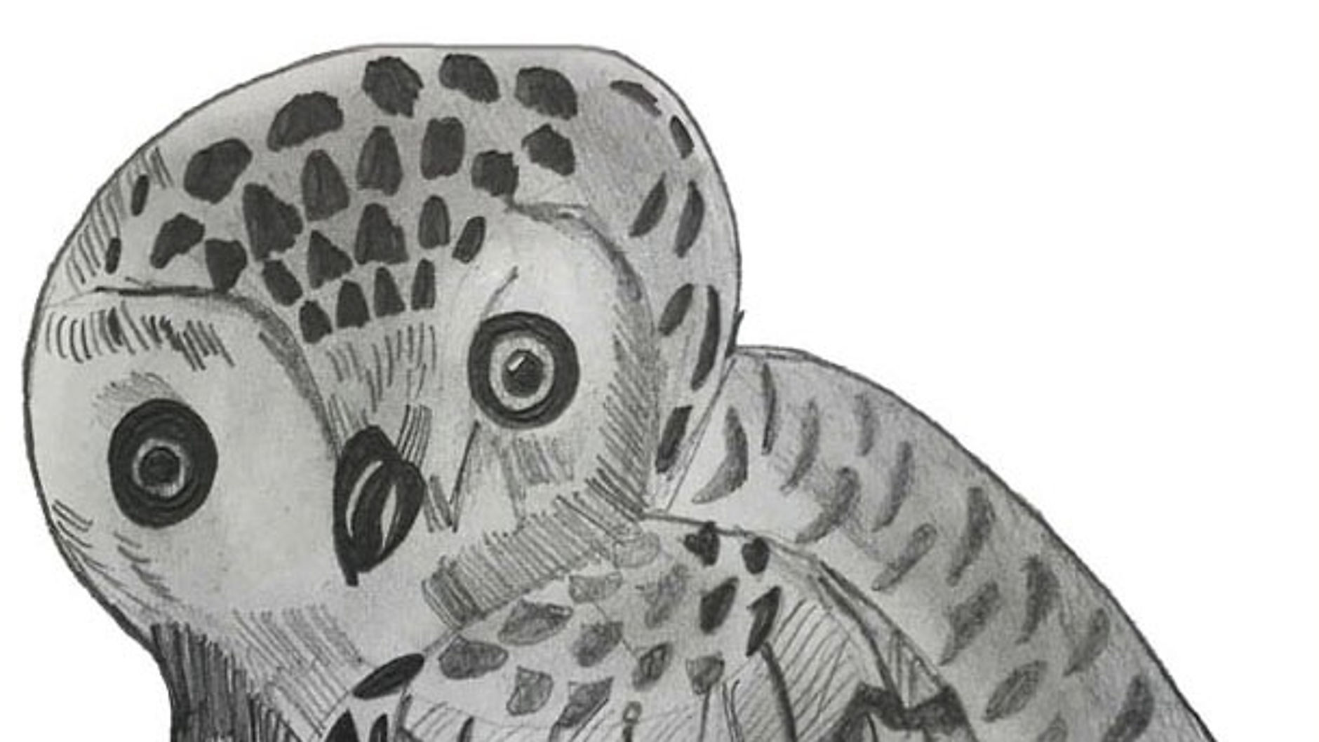 Draw an owl